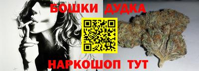 дмт Бийск