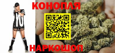 дмт Бийск