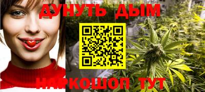 дмт Бийск
