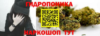дмт Бийск