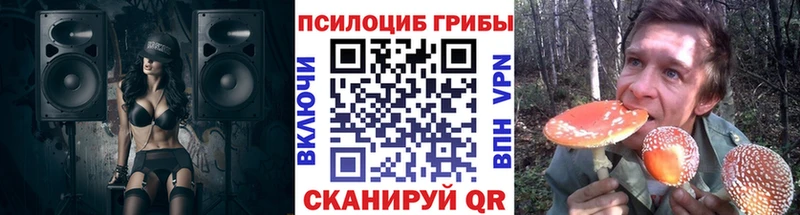 Галлюциногенные грибы Psilocybine cubensis  Ливны 