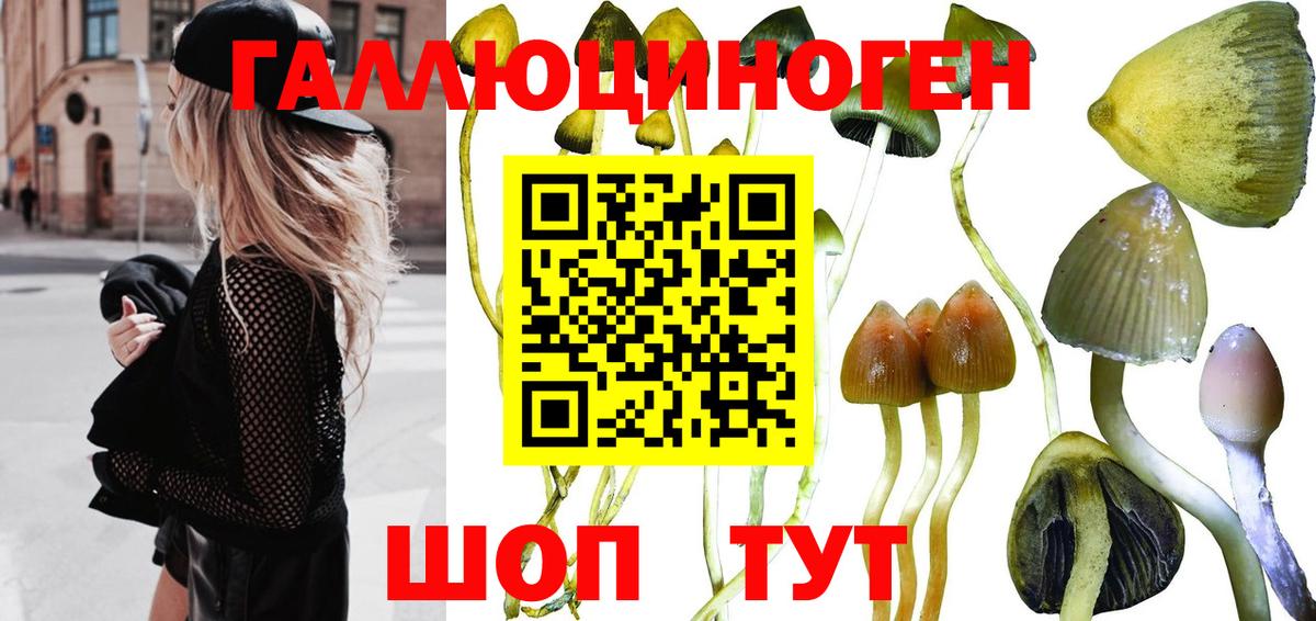 Ливны  Псилоцибиновые грибы GOLDEN TEACHER  Вход с VPN 